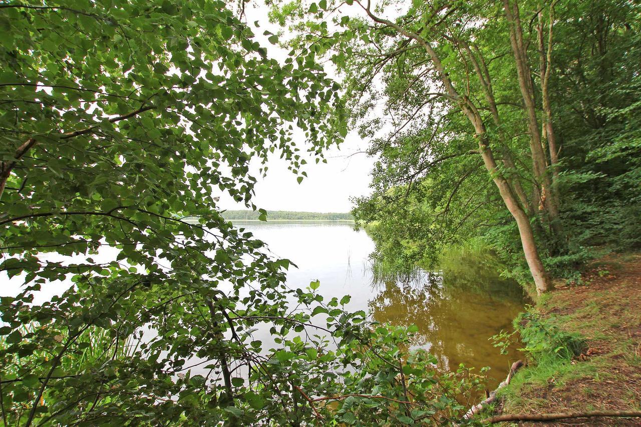 Ferienwohnung Im Forsthaus Am See Schwarz Eksteriør billede